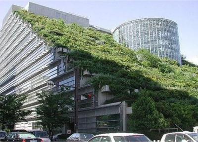 بام های سبز (روف گاردن) در ساختمان های قزوین گسترش می یابد